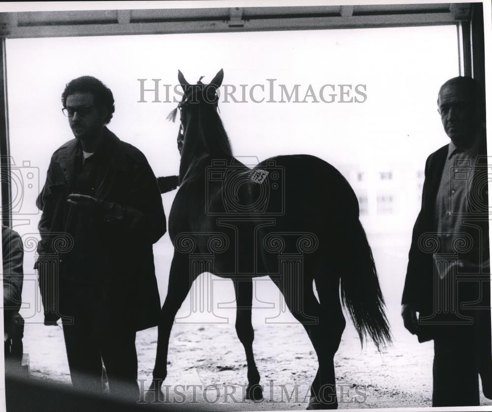 1970 Press Photo Horse Auctions Northfield