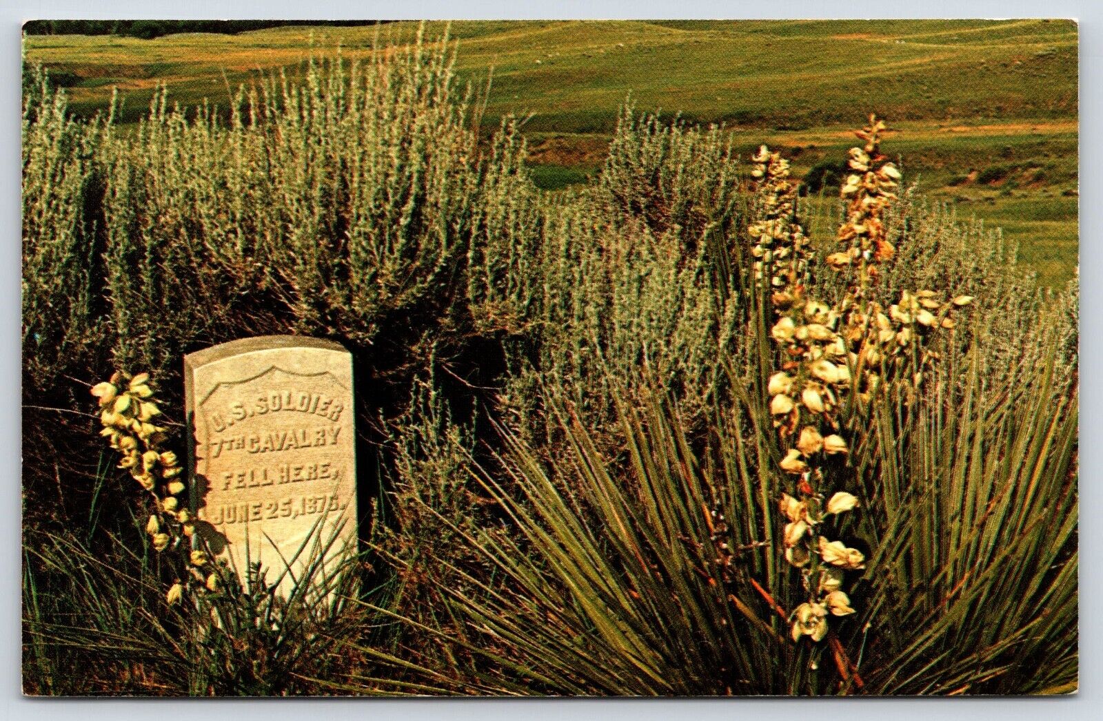Montana Custer Battlefield National Monument Vintage Postcard
