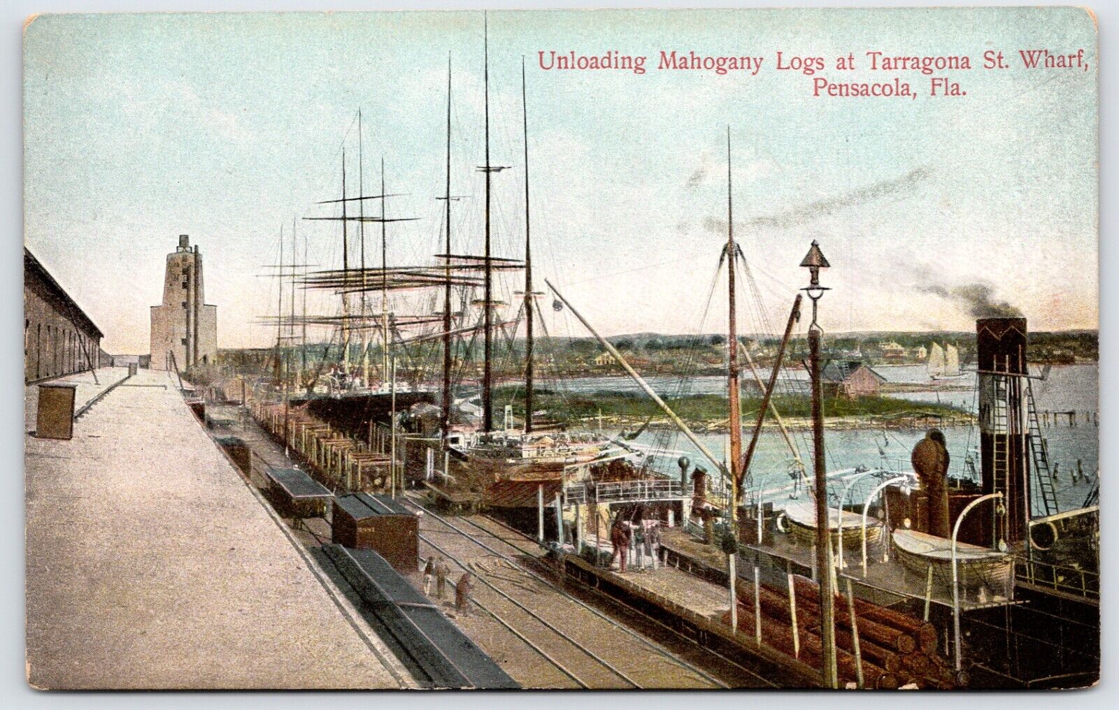Postcard Unloading Mahogany Logs At Tarragona St. Wharf, Pensacola, FL Unposted