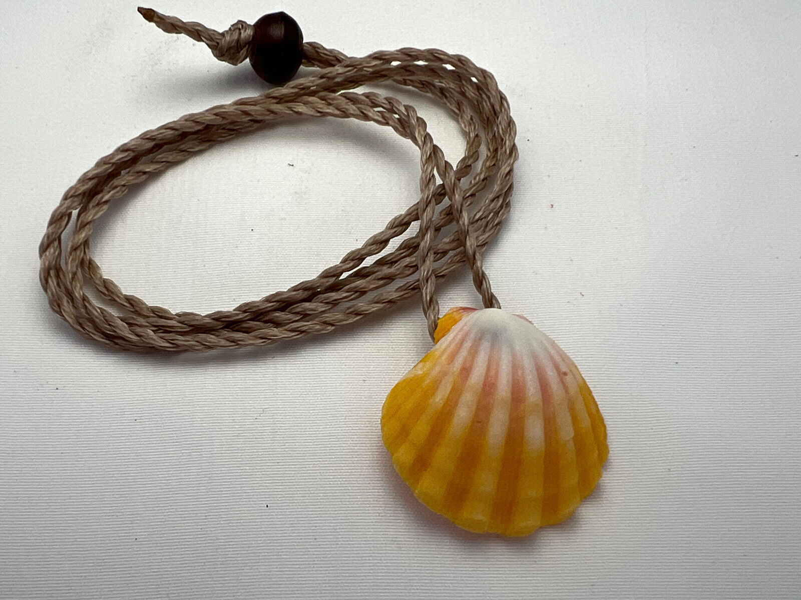 Sunrise Shell (Pecten Langford) Necklace on adj hand braided cord Hawaiian #3