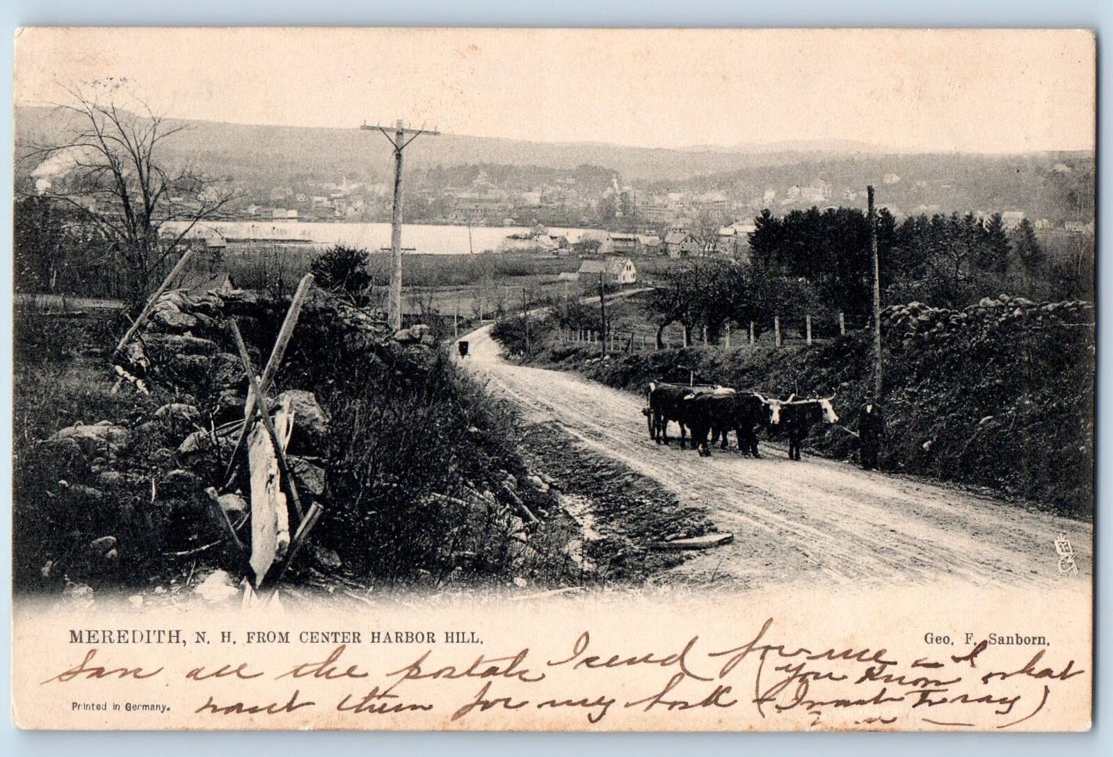 1906 Meredith New Hampshire NH From Center Harbor Hill Cow Drawn Wagon Postcard