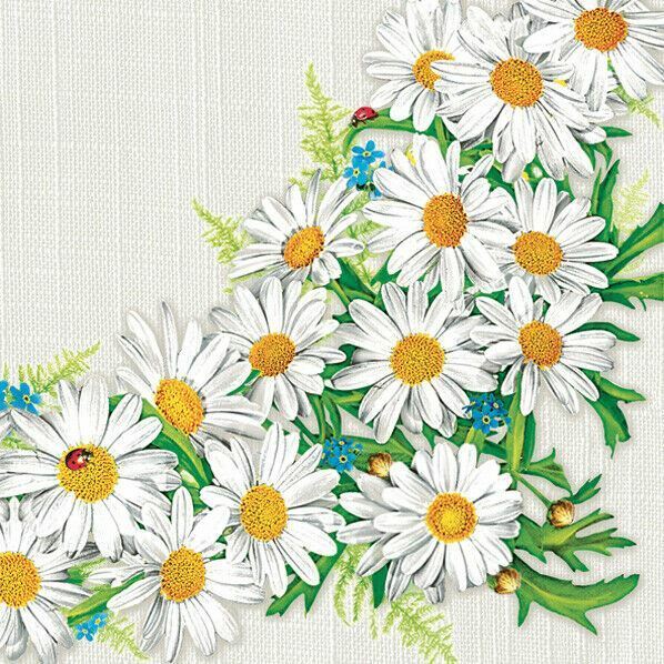 TWO Individual Paper LUNCHEON Decoupage Napkins Flower DAISY Lady Bug Decorative