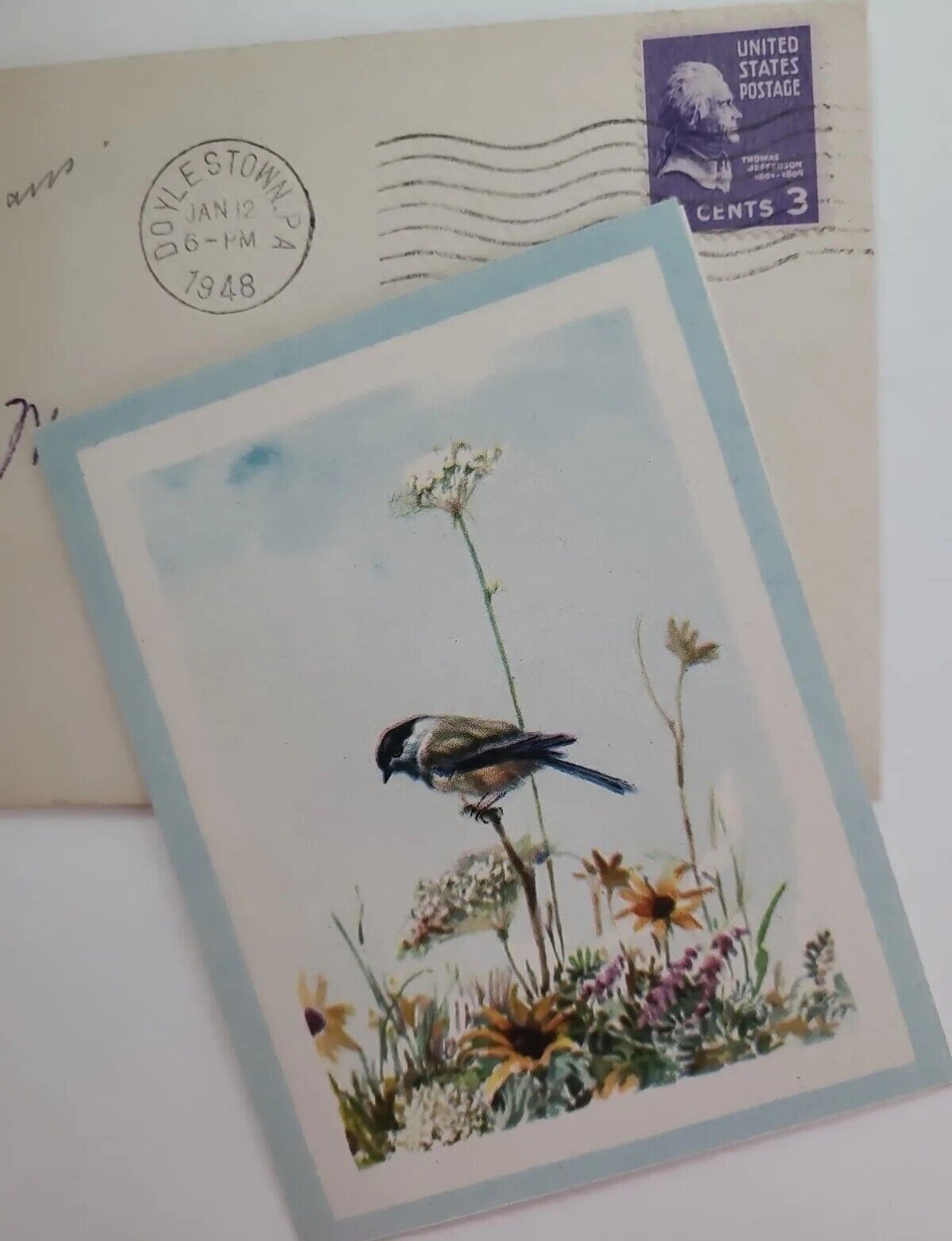 1948 Vtg CHICKADEE Bird BROWNIE CARD in Orig Postmark Stamped Envelope