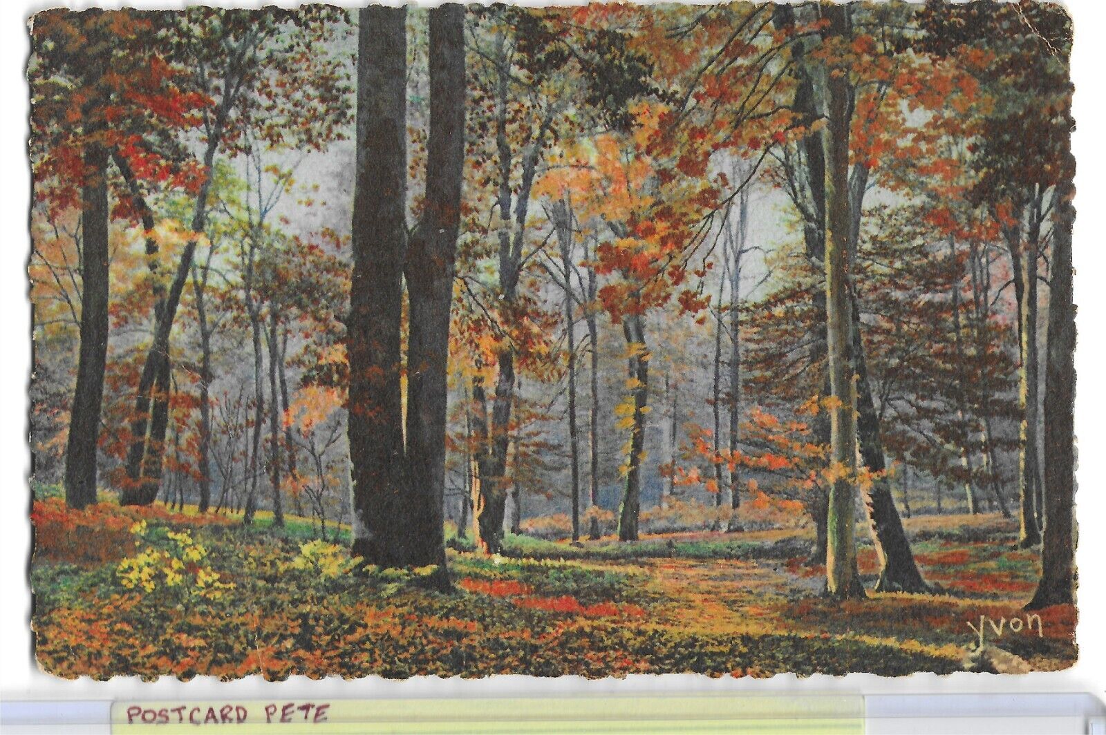 c1910 LA DOUCE FRANCE Fontainebleau La Foret Matinee d\'automne YVON Postcard A19