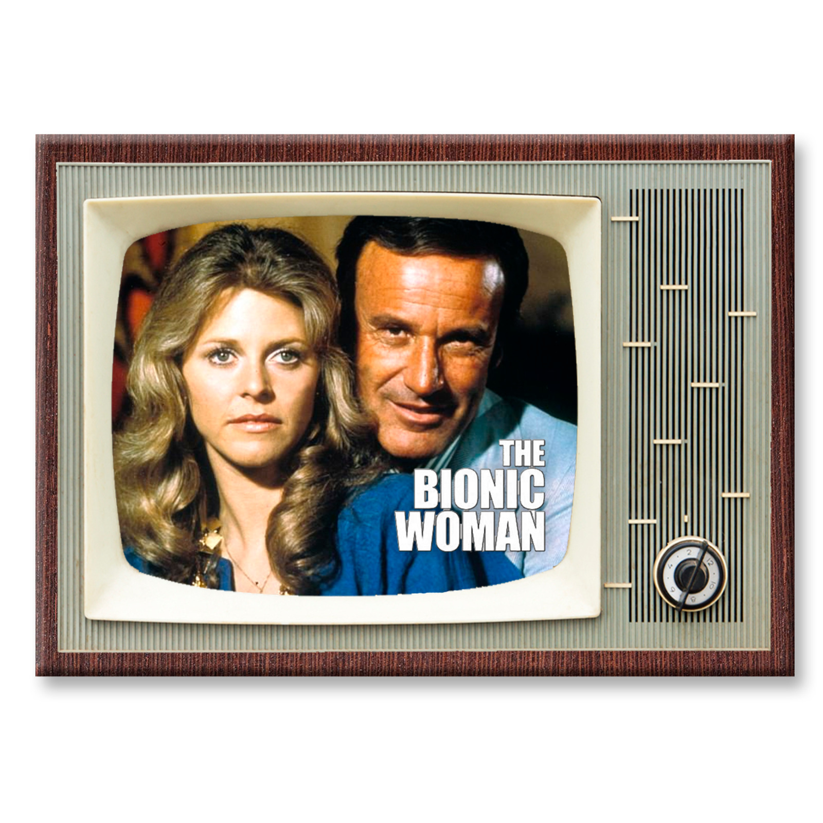 Bionic Woman TV Show Classic TV 3.5 inches x 2.5 inches Steel Fridge Magnet