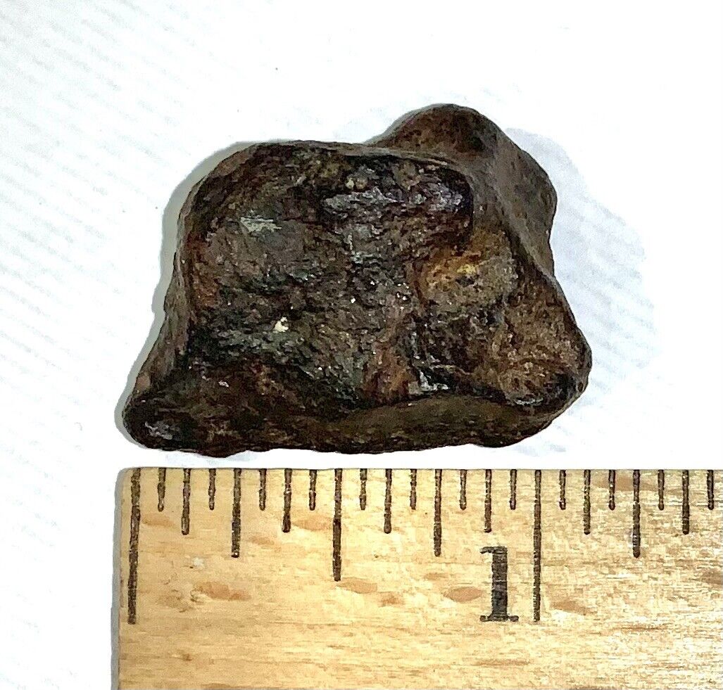 Iron Meteorite 33 Grams Probably Canyon Diablo 