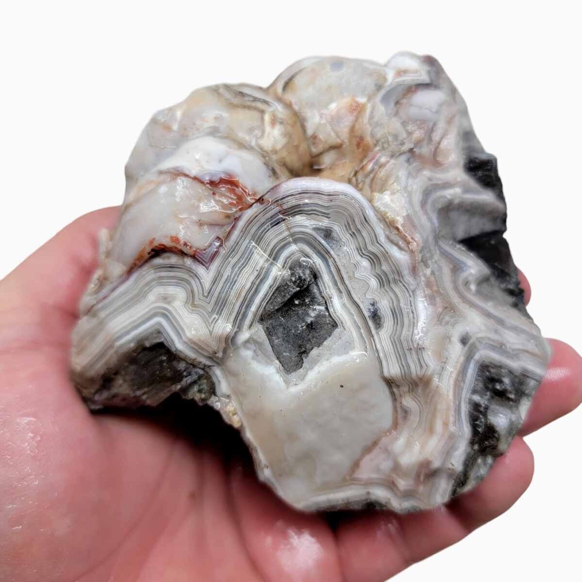 Old Vein Lace Agate Rough Chunk
