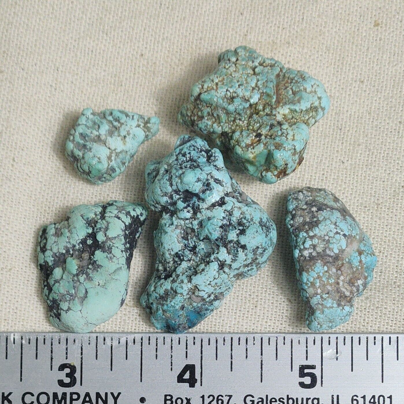 Natural Lander Blue Old Southwest Turquoise Rough Stone Gem 250 CT Lot 34-07