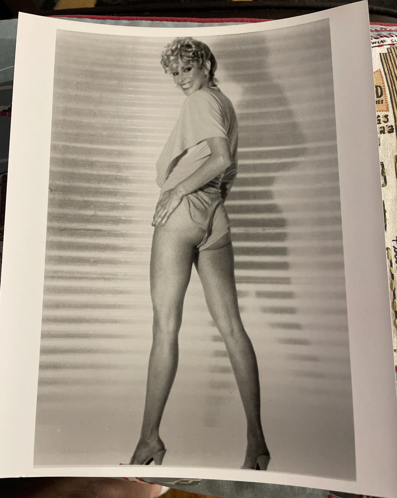 Randi Oaks  Irving Klaw Archives Movie Star News Vintage Photo 8x10 1980s #6