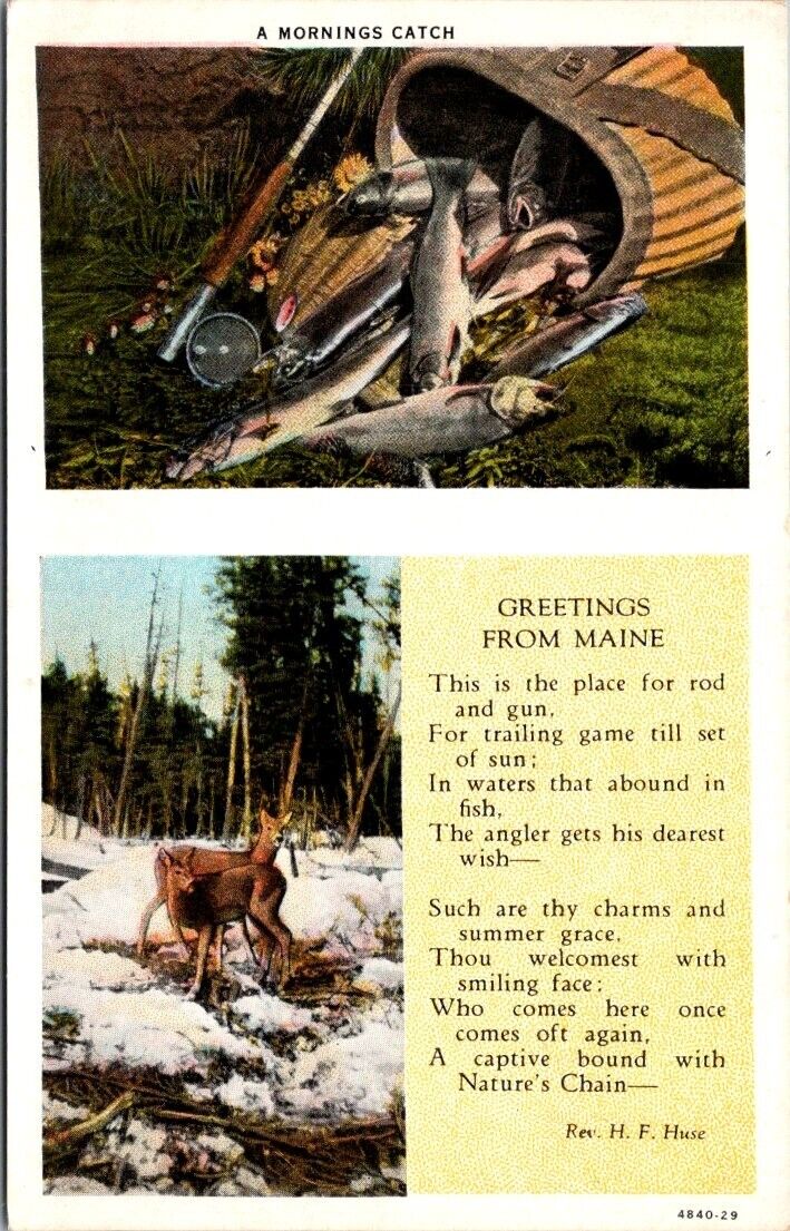 A MORNINGS CATCH GREETINGS FROM MAINE poem fish and deer postcard