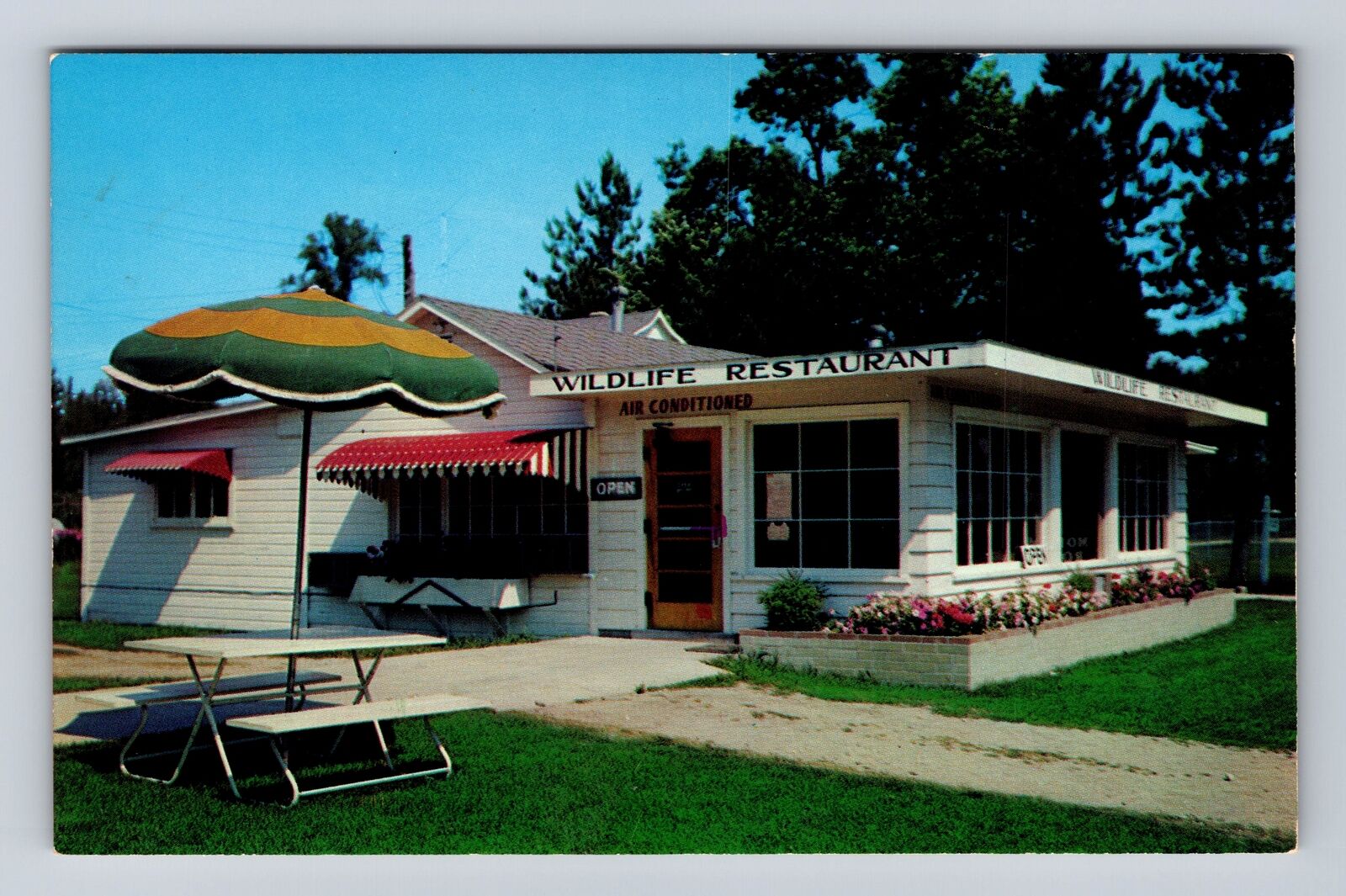 Big Rapids MI- Michigan, Wildlife Restaurant, Antique, Vintage Souvenir Postcard
