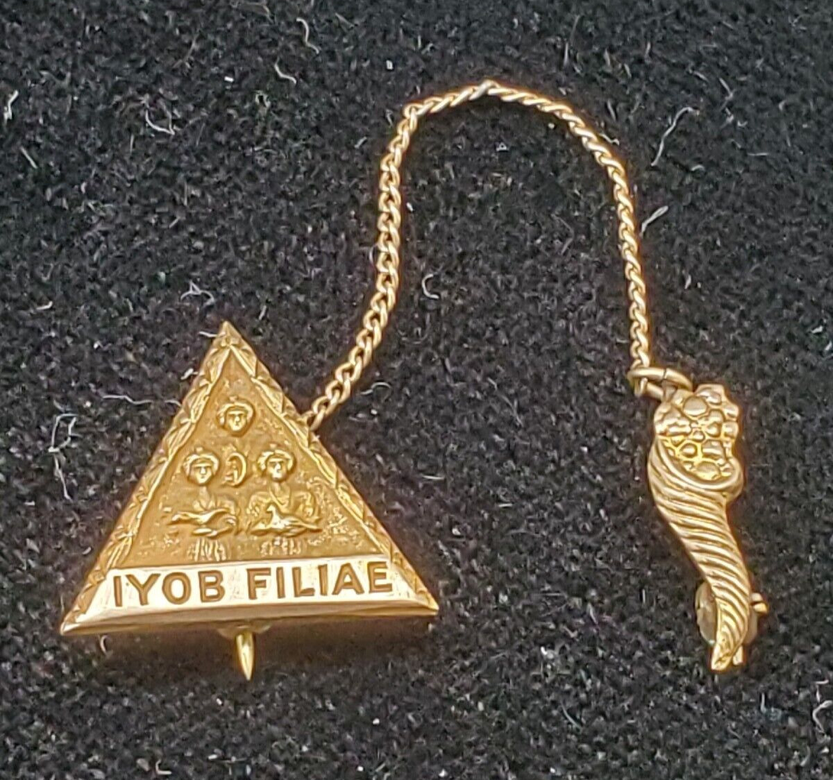Vintage IYOB FILIAE Masonic Pin 10K Yellow Gold Top Job\'s Daughter