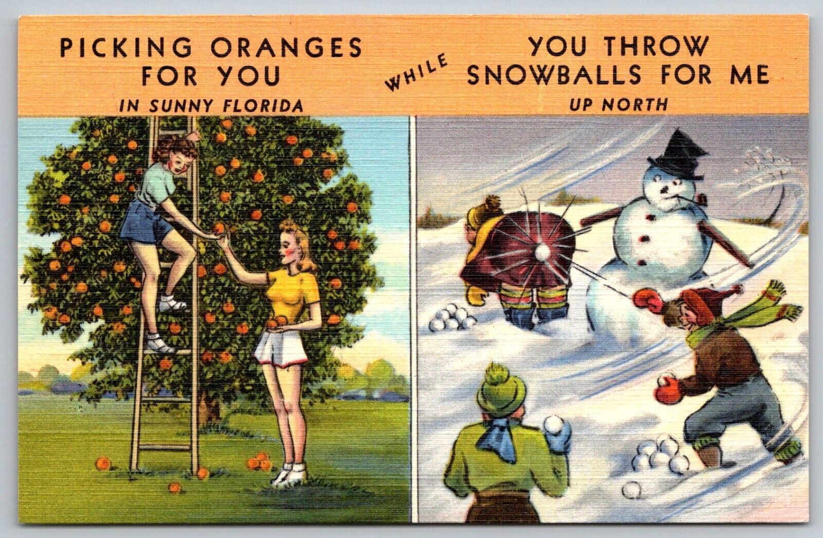 Vintage Linen Postcard - Picking Oranges Florida Throw Snowballs Up North