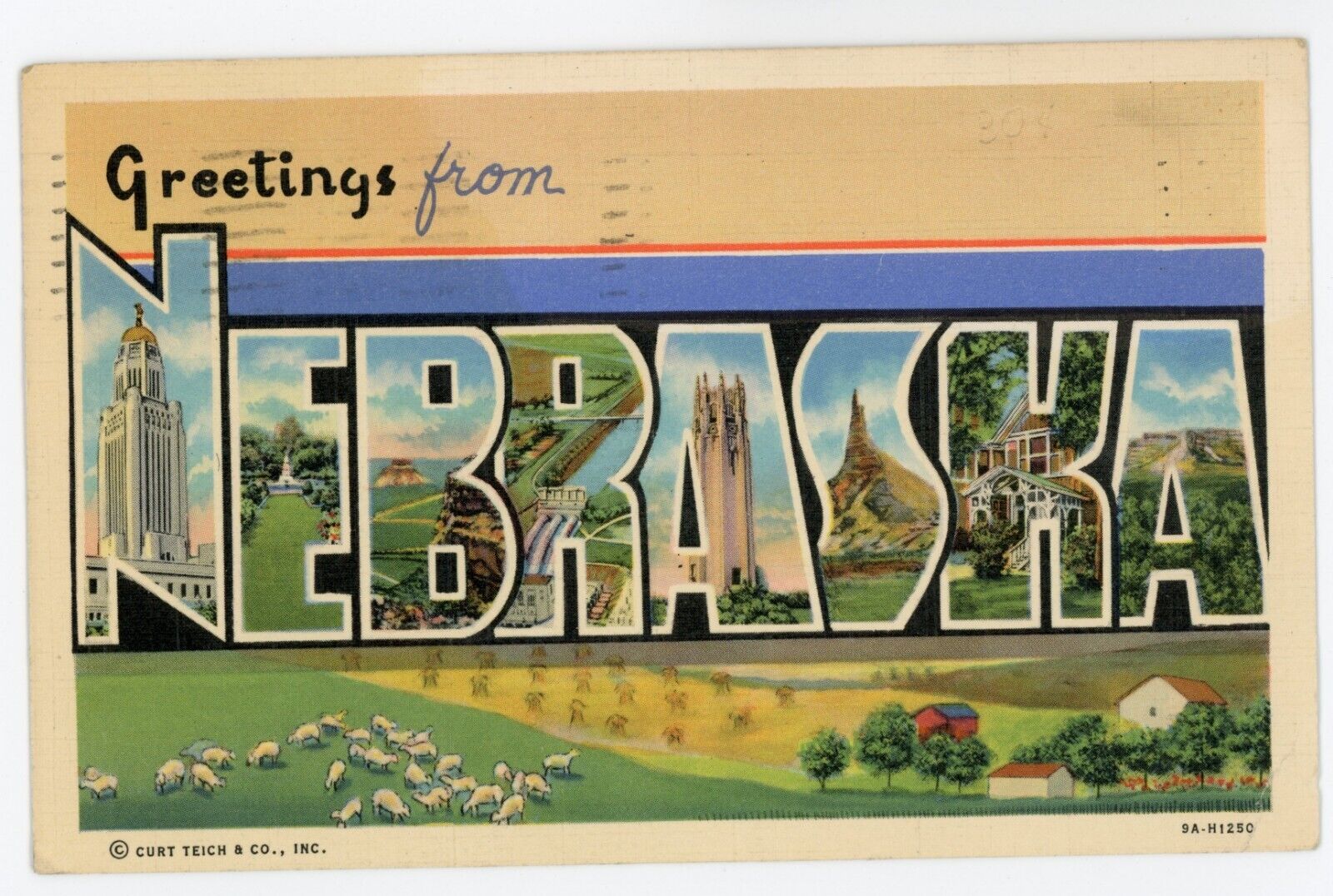 Large Letter Greetings from Nebraska Postcard