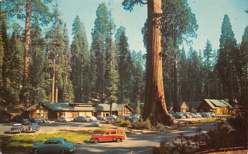 Giant Forest Village Sequoia National Park California Lodge Cabins