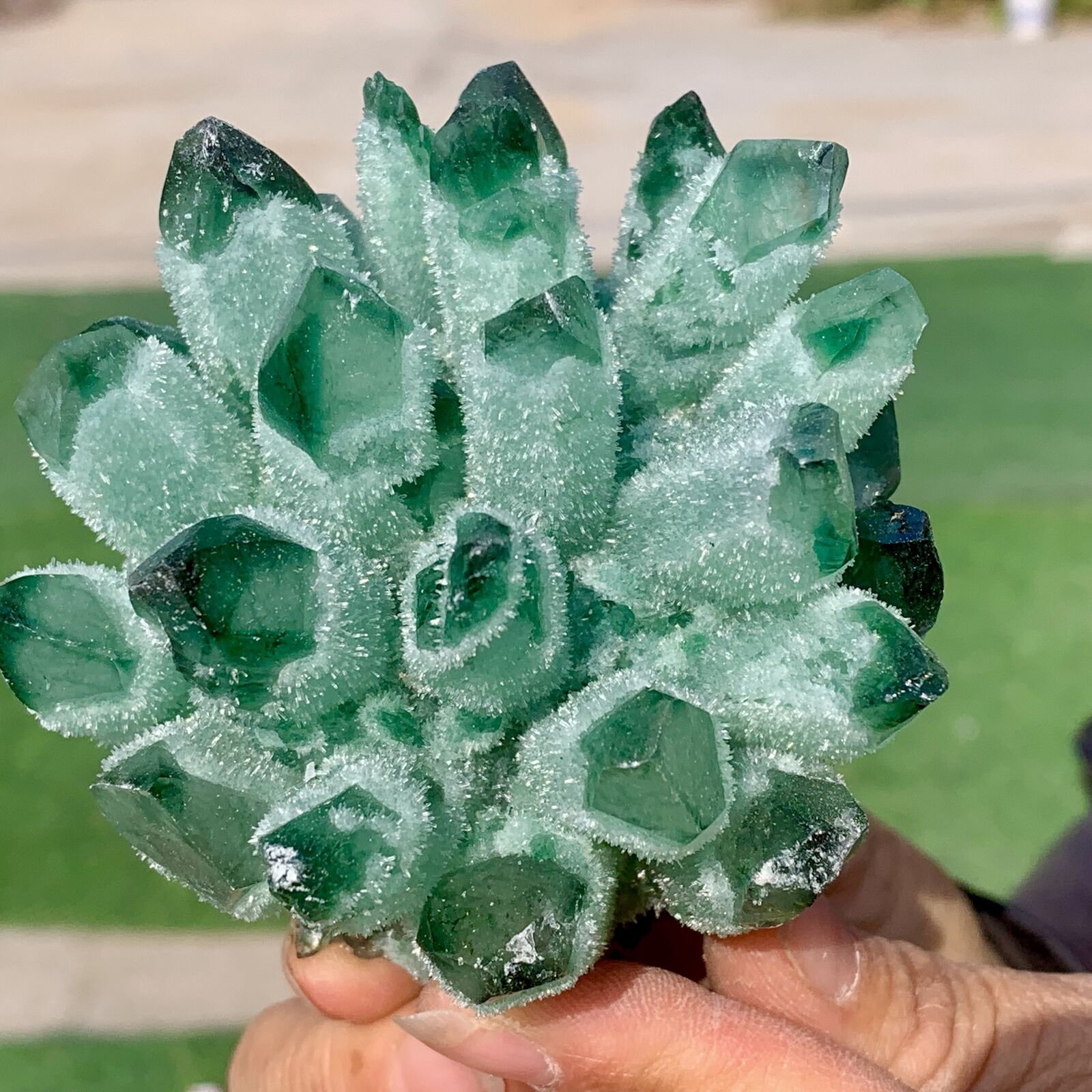 478G Newly discovered green phantom quartz crystal cluster minerals