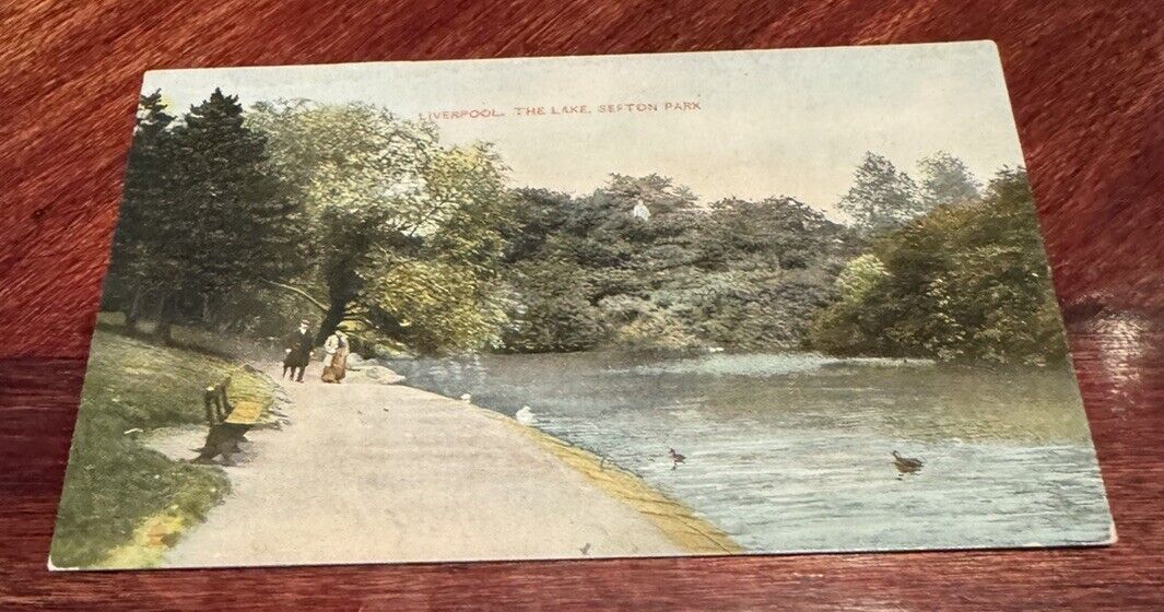 Vintage UK Liverpool The Lake At Sefton Park Unused Postcard Rare Find
