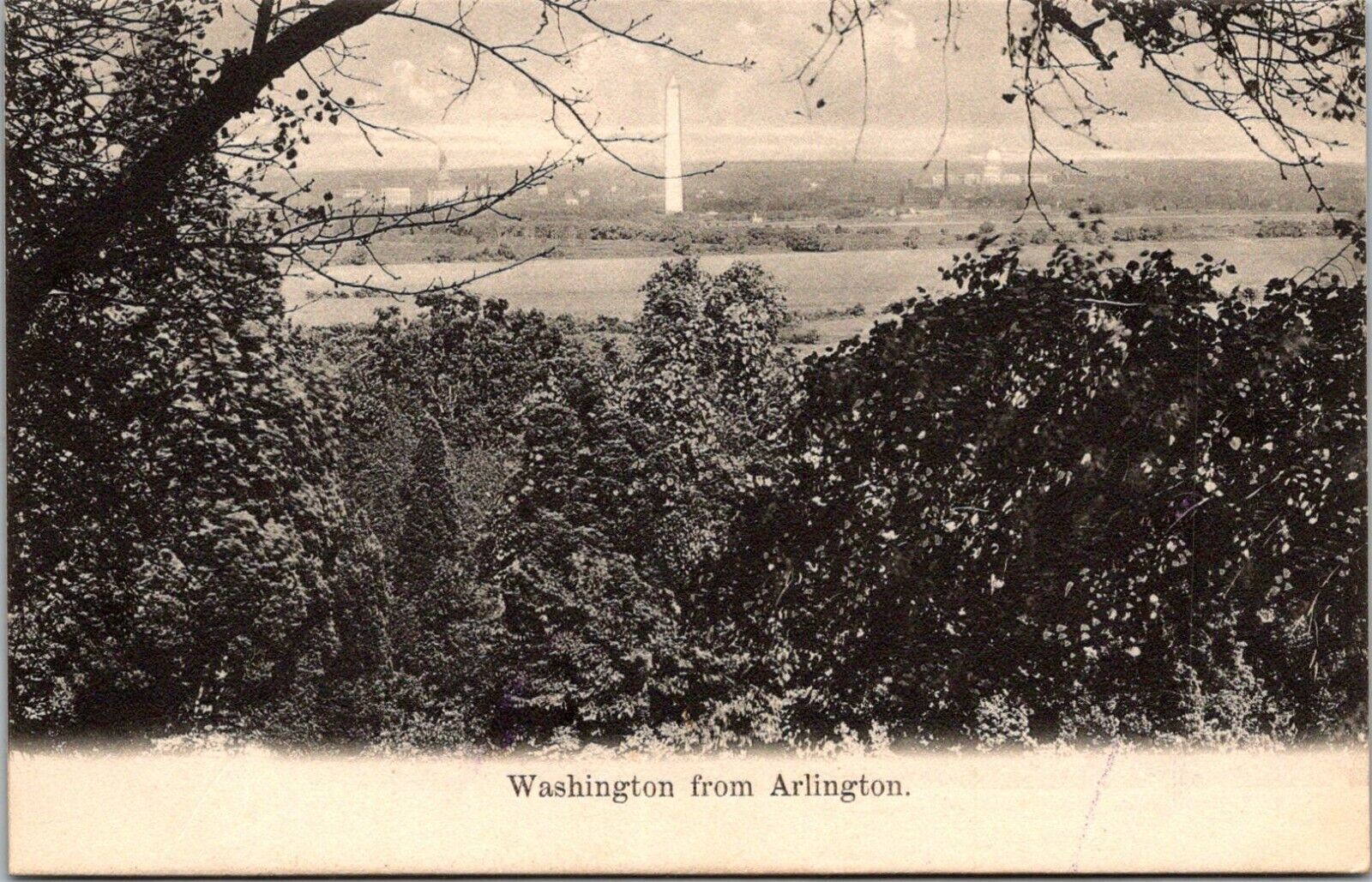 View Of City From Arlington, Vintage Washington DC Postcard