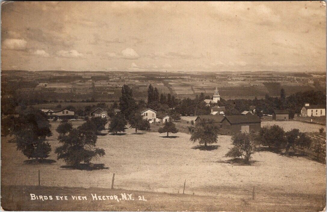 Hector, NY, Bird\'s Eye View of Village, Real Photo Postcard, 1919, #1059
