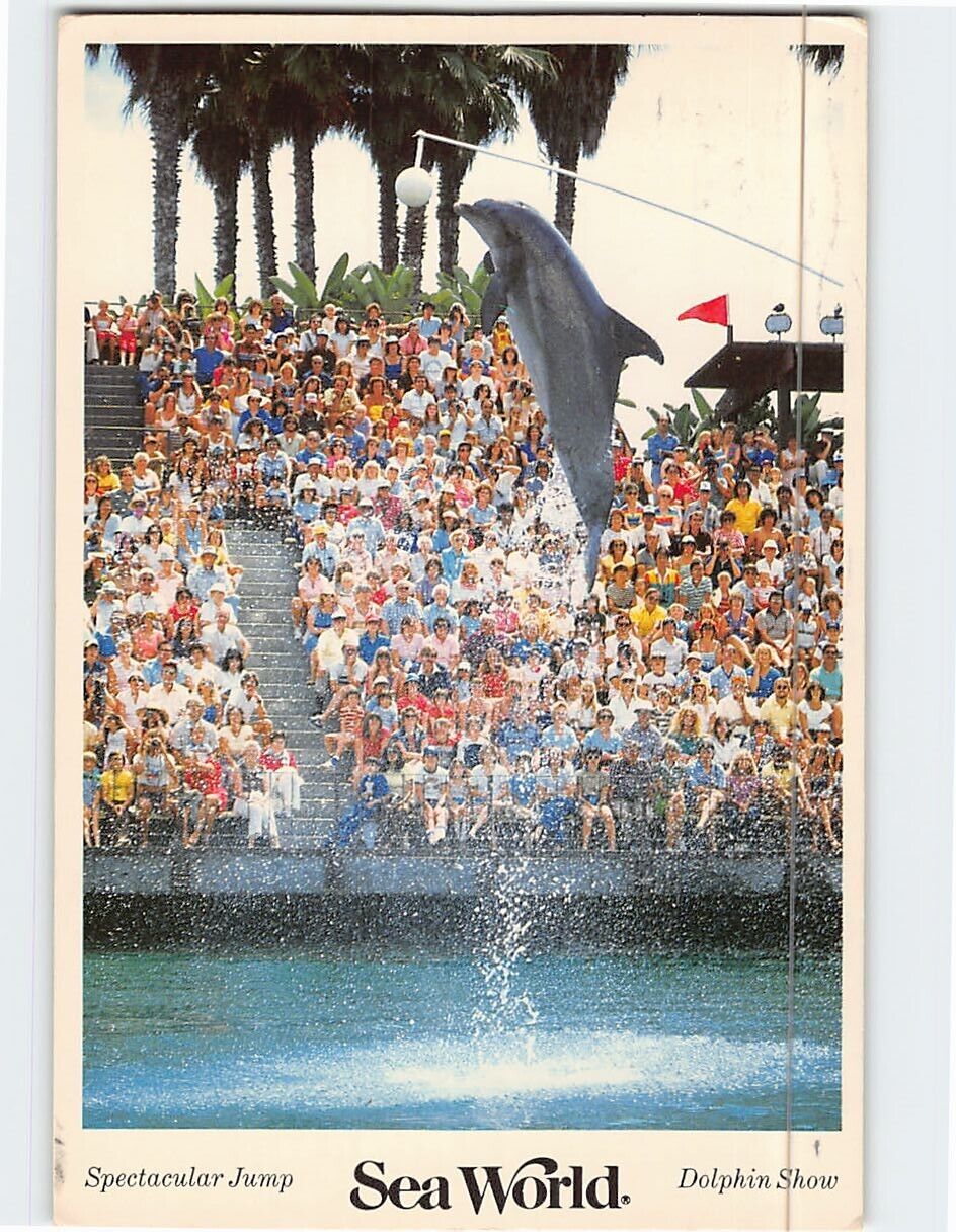 Postcard Spectacular Jump Dolphin Show SeaWorld USA