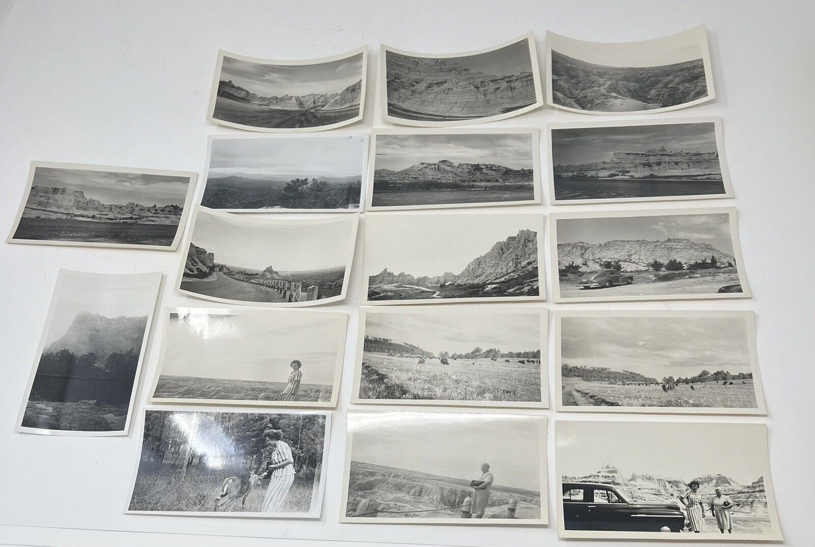 1940's Vacation Photos Black Hills Badlands Cars People Bison South Dakota Lot