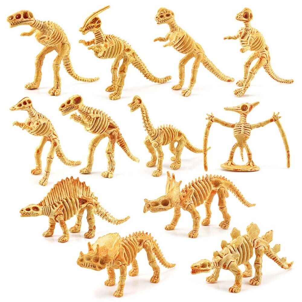 12-Piece Assorted Dinosaur Fossil Bones, Realistic Skeleton Toy for Kids