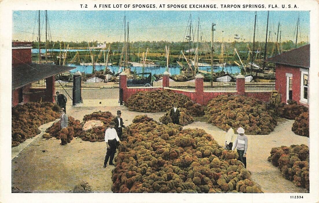 c1920s Sponge Exchange People Boats Tarpon Springs Florida FL P396