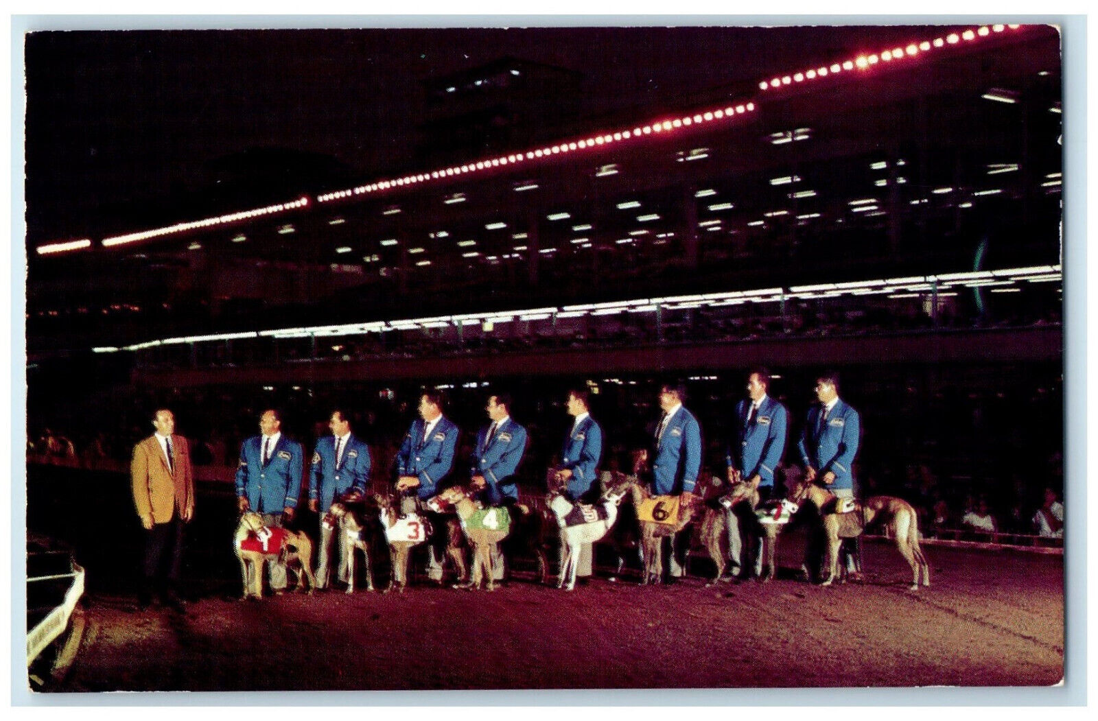 c1950's Night Scene Greyhound Racing Caliente Greyhound Club Mexico Postcard
