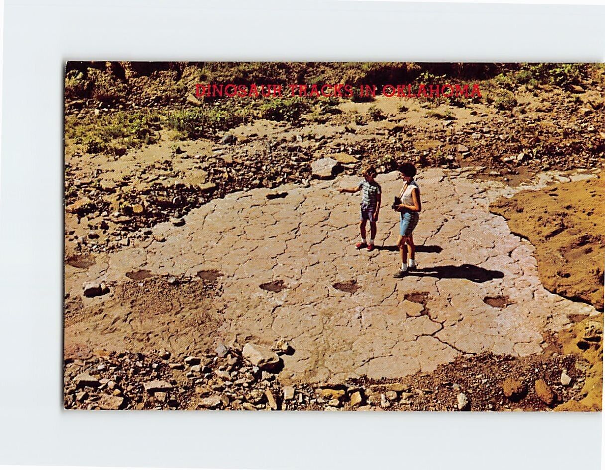 Postcard Dinosaur Tracks Kenton Oklahoma USA