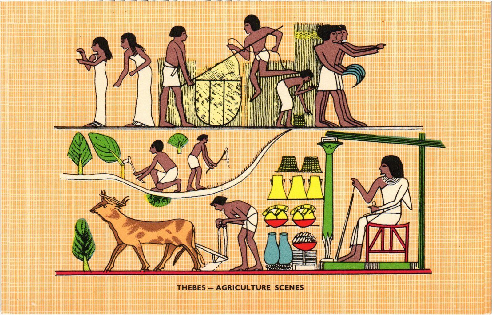 CPA AK THEBES Agriculture Scenes EEGYPT (1324244)
