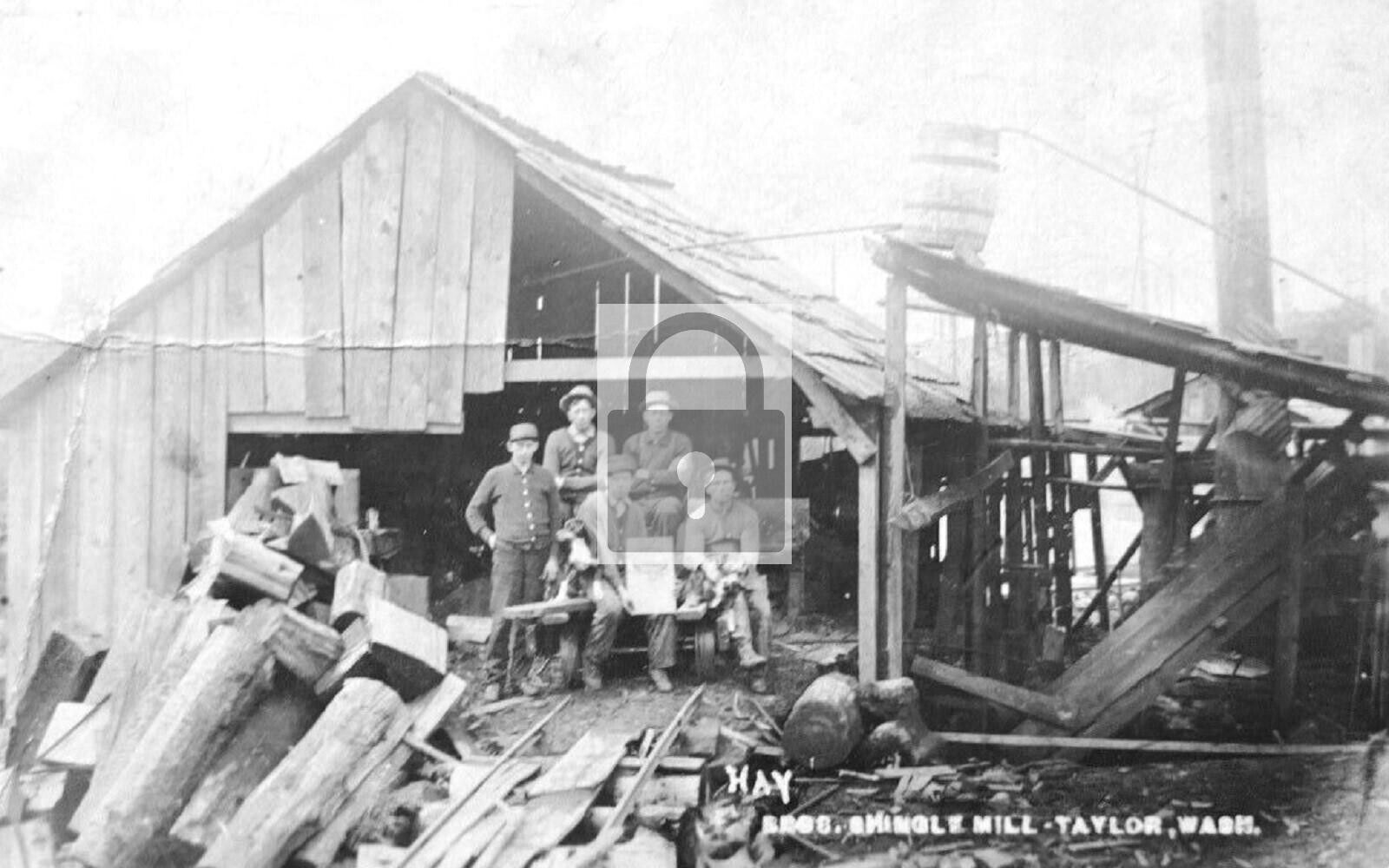 Hay Bros Shingle Mill Taylor Washington WA Reprint Postcard