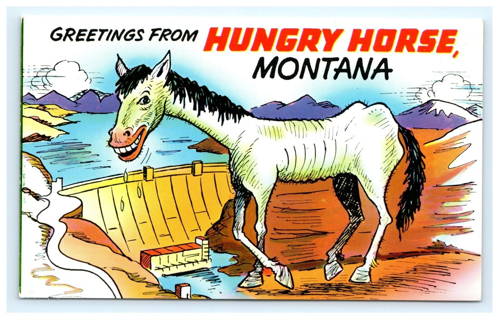 Hungry Horse Montana Greetings Postcard Horse Smiling Comic   pc28