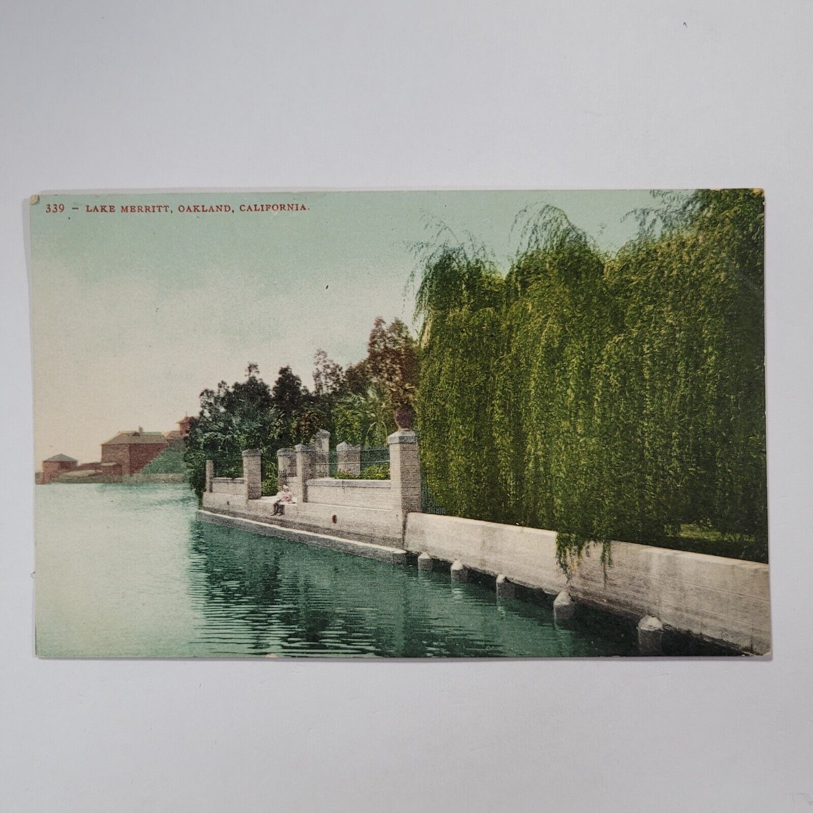 Lake Merritt Oakland California Edward Mitchell Vintage Postcard c1910s Willows