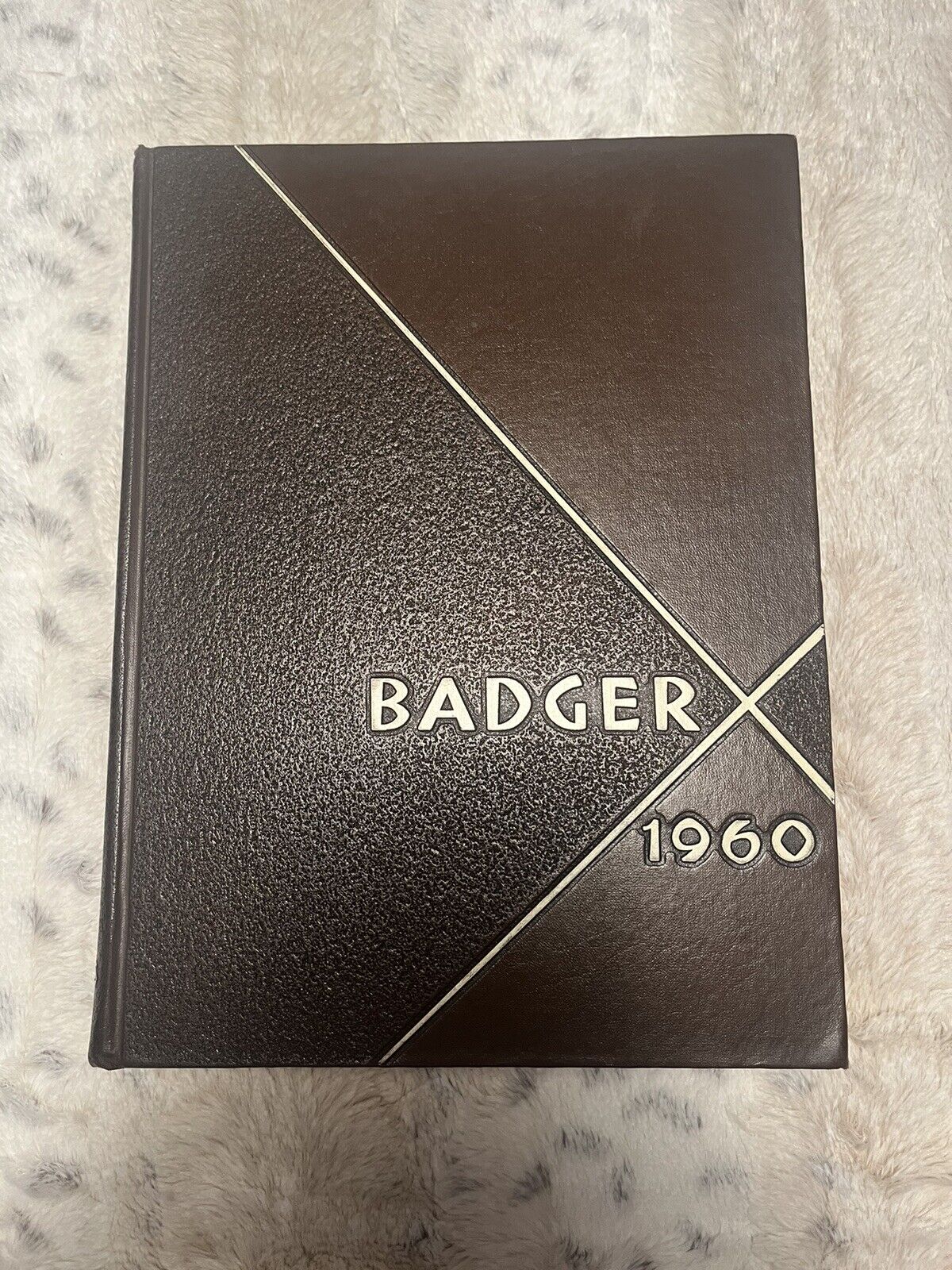 University of Wisconsin Madison Badger 1960 Yearbook College Annual Vol. 75 Book