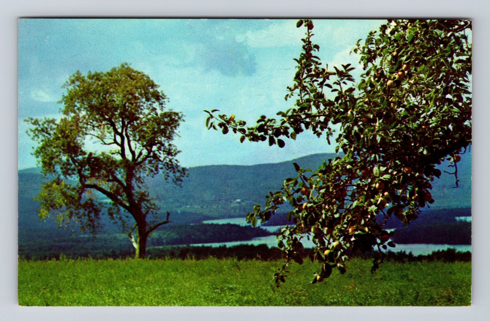 Center Harbor NH-New Hampshire, Squam Lake, Antique Vintage Souvenir Postcard