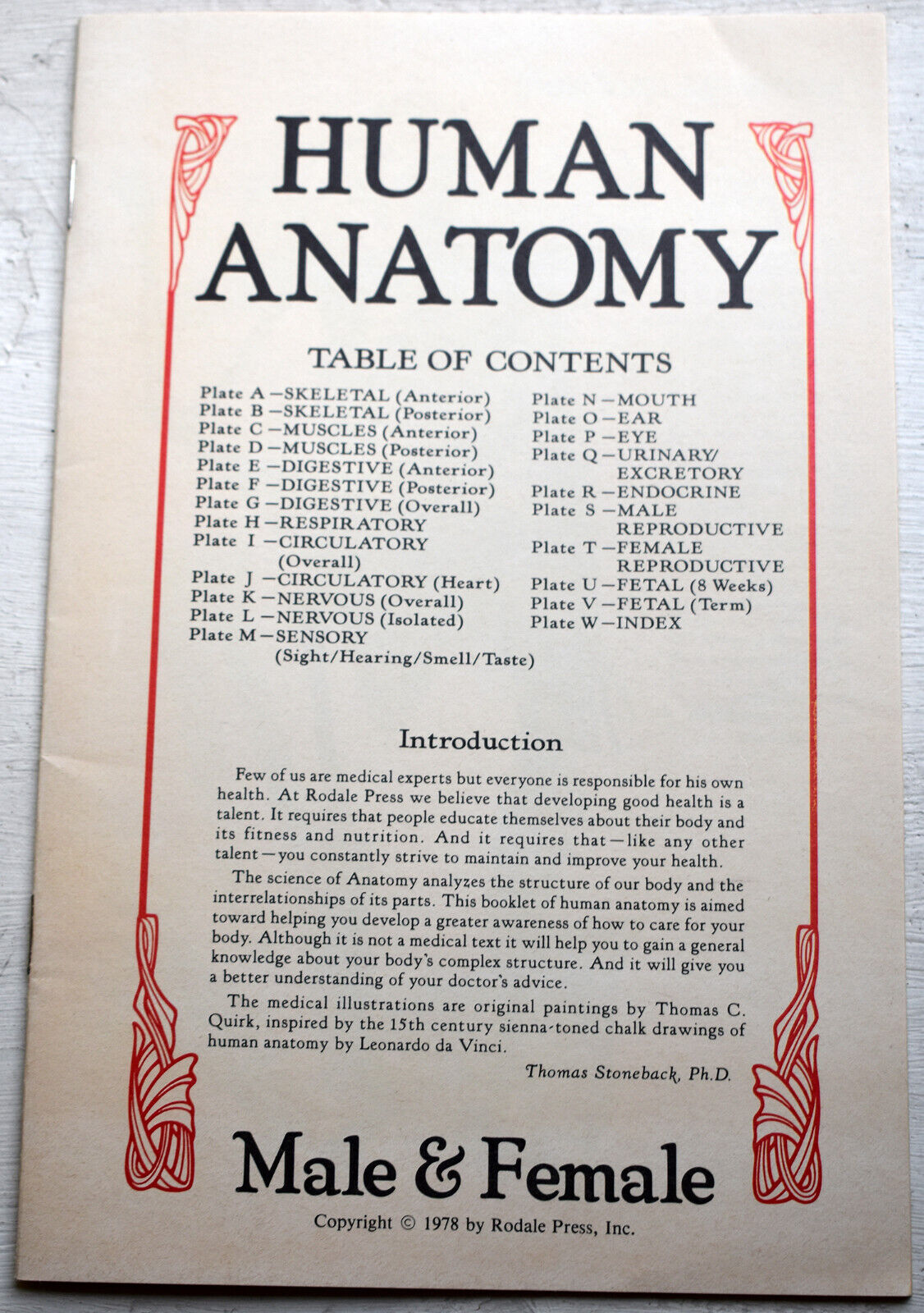 Details about Human Anatomy Male & Female medical booklet Rodale Press 1978