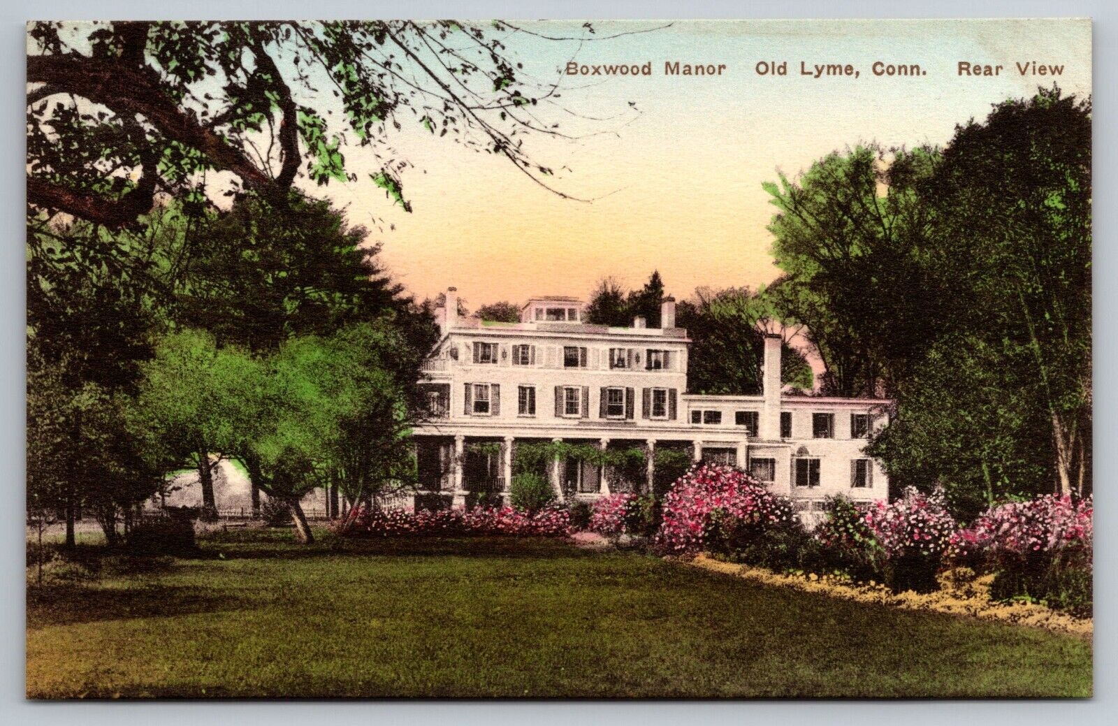 Boxwood Manor. Rear View. Old Lyme Connecticut Hand Colored Postcard