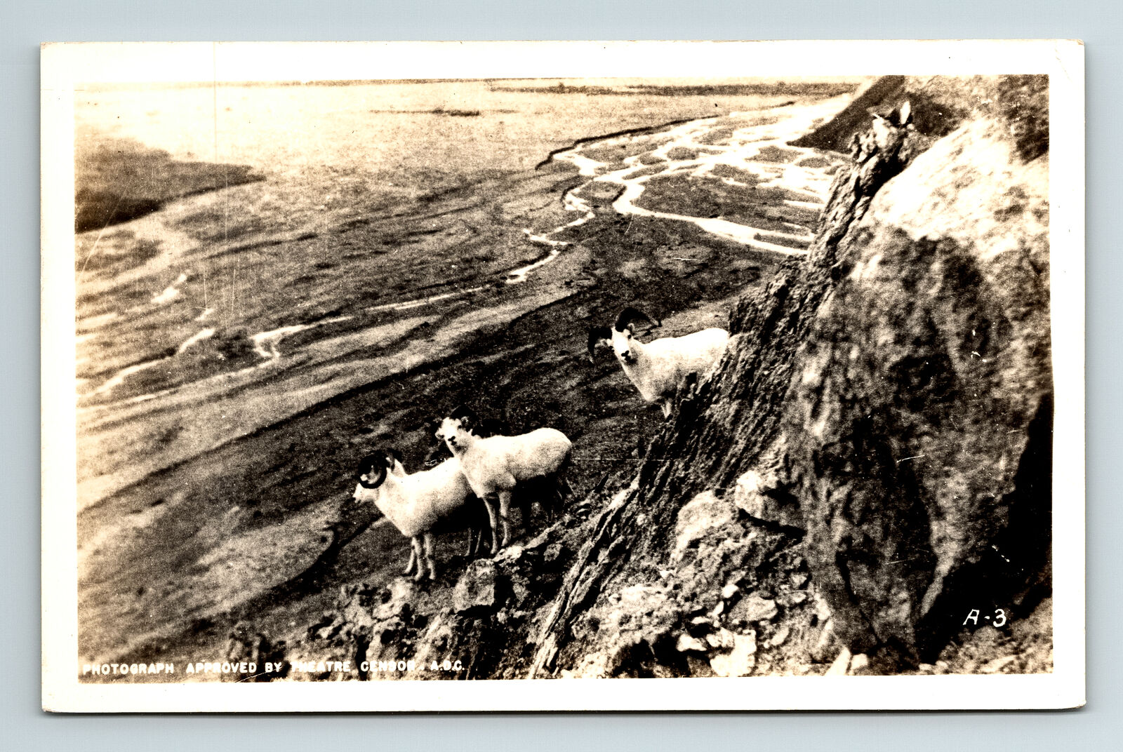 RPPC Postcard AK Alaska Dall Sheep On Mountainside Theatre Censor ADC