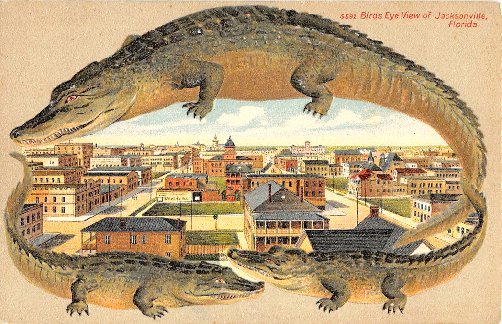 c.1908 Alligator Border Bird\'s Eye View Jacksonville FL post card
