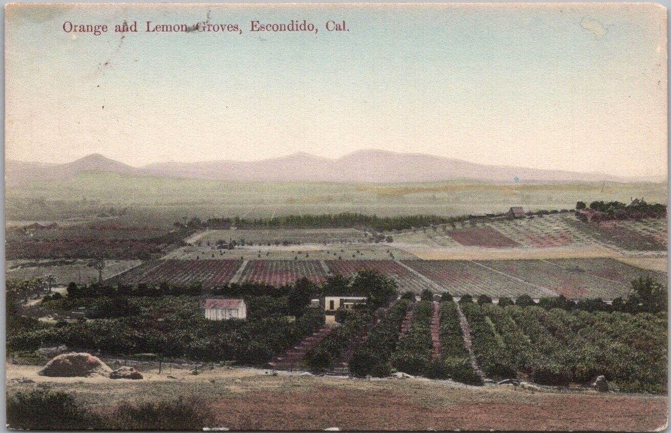 1912 ESCONDIDO, California Postcard \