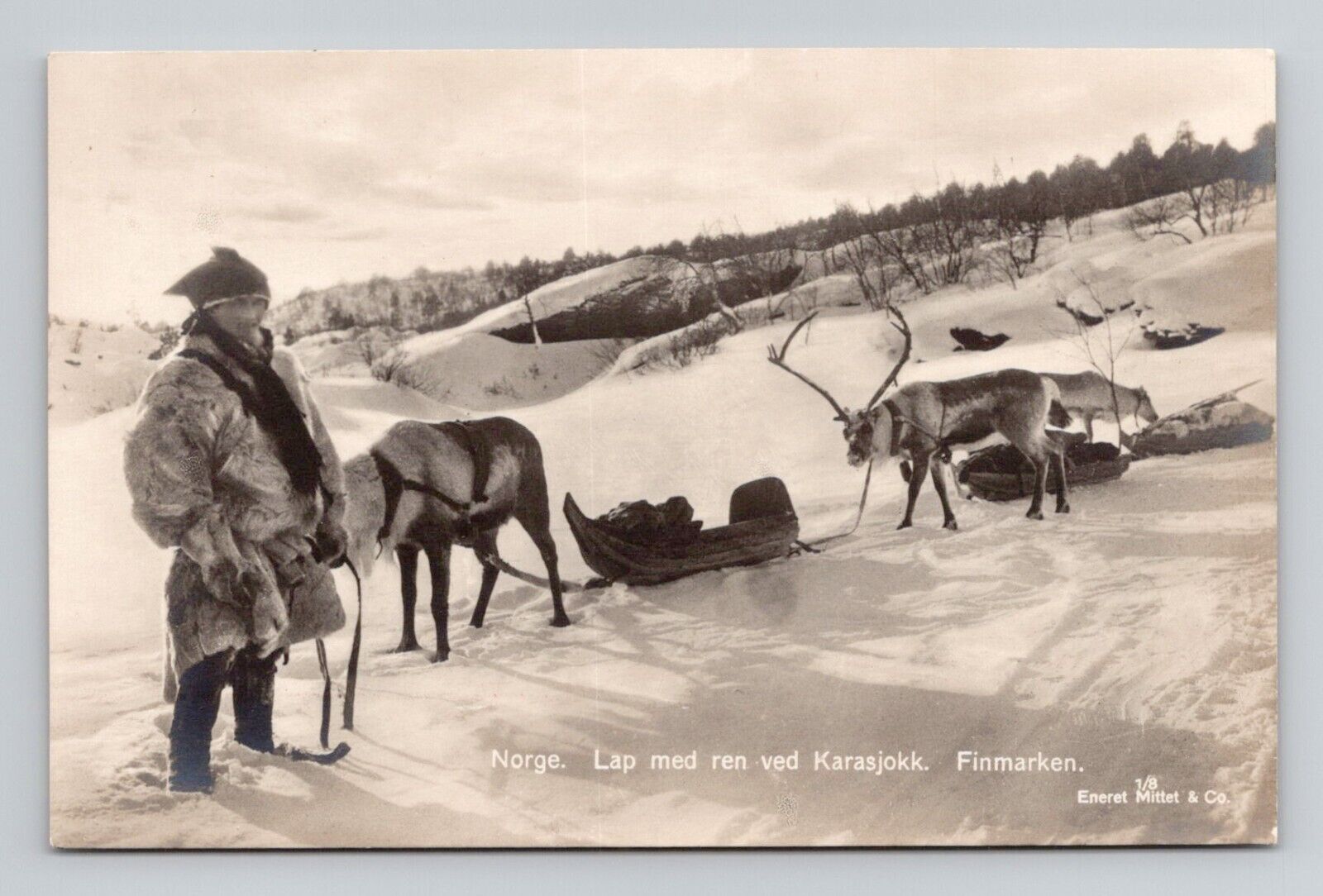 RPPC Reindeer with Sled Finmarken Norway, Antique Real Photo O12