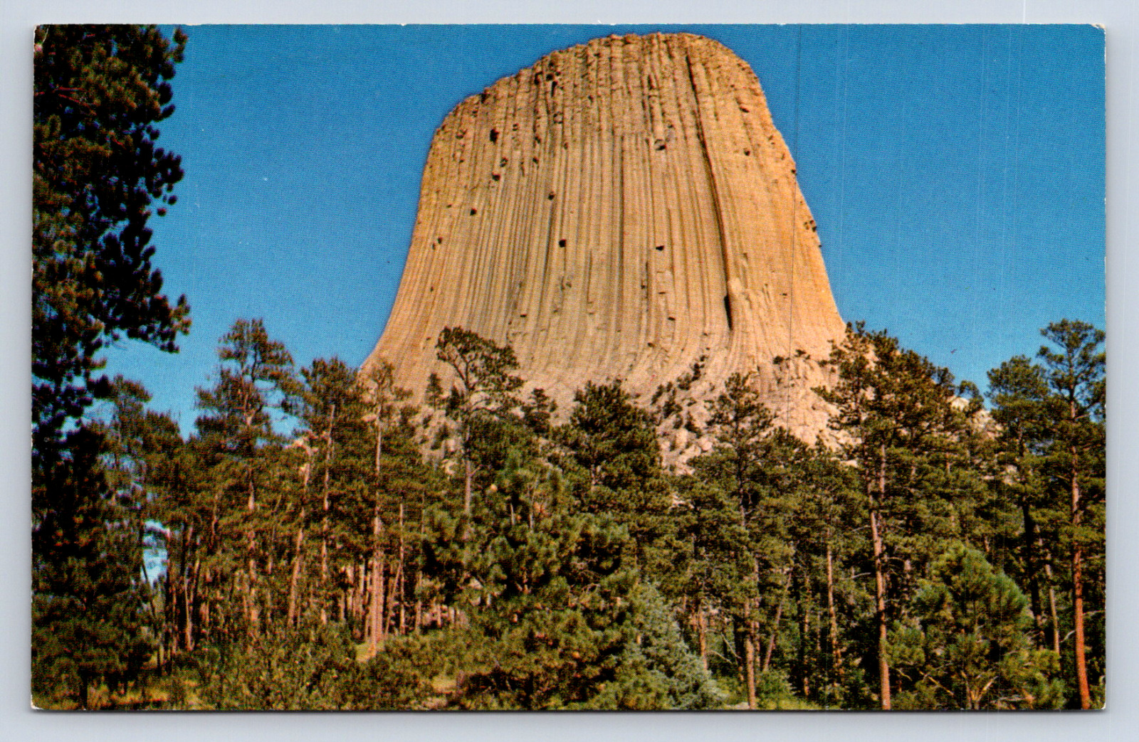 Vintage Postcard Devils Tower Wyoming 