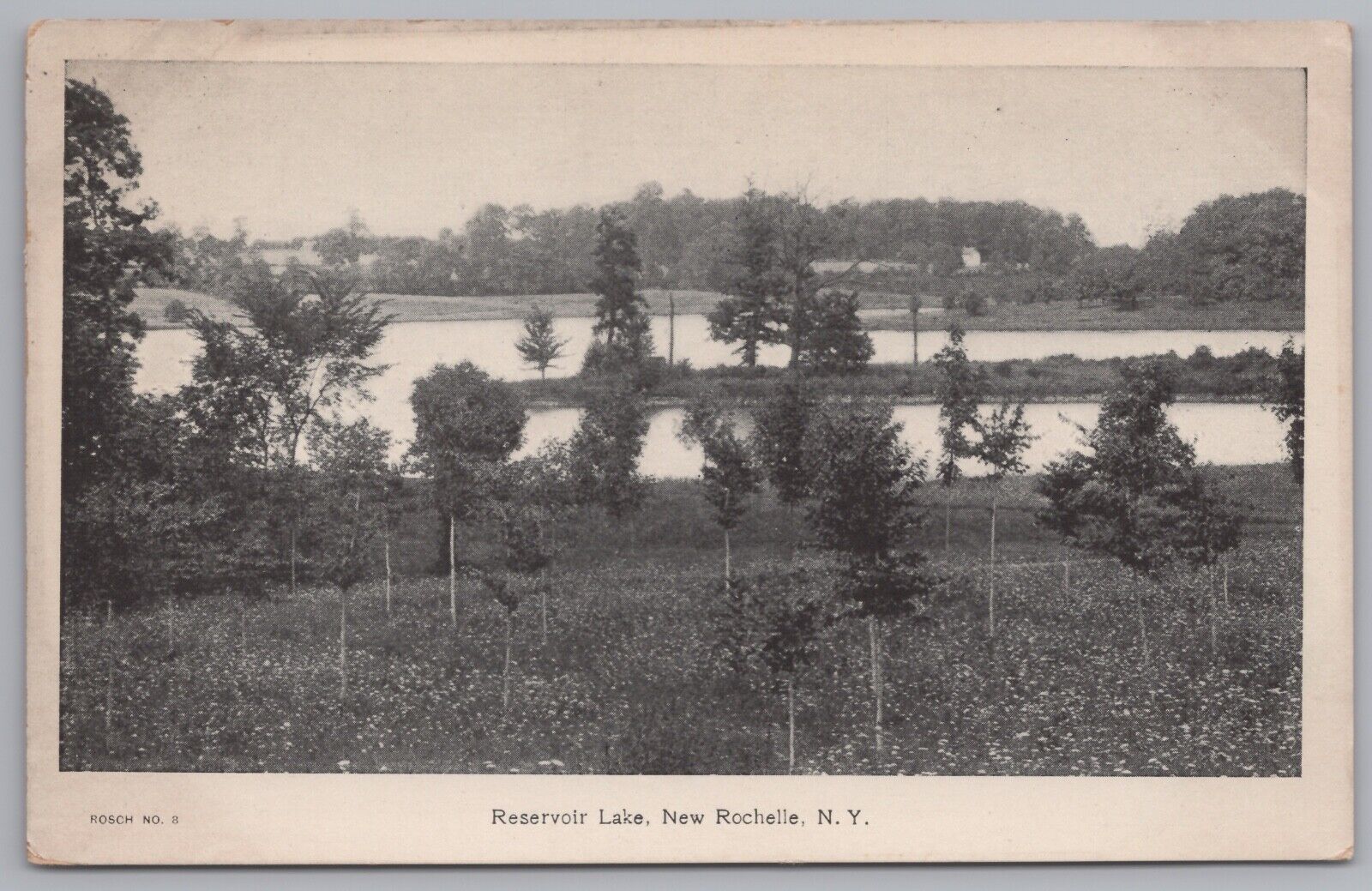 Postcard - Reservoir Lake New Rochelle New York NY Nature 1900s Early Vintage
