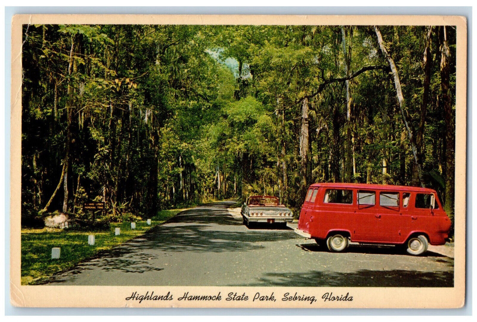 1966 Highlands Hammock State Park Sebring Florida FL Vintage Postcard