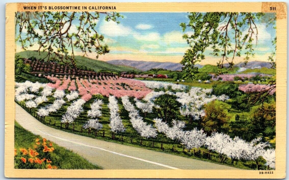 Postcard - When it\'s Blossomtime in California, USA