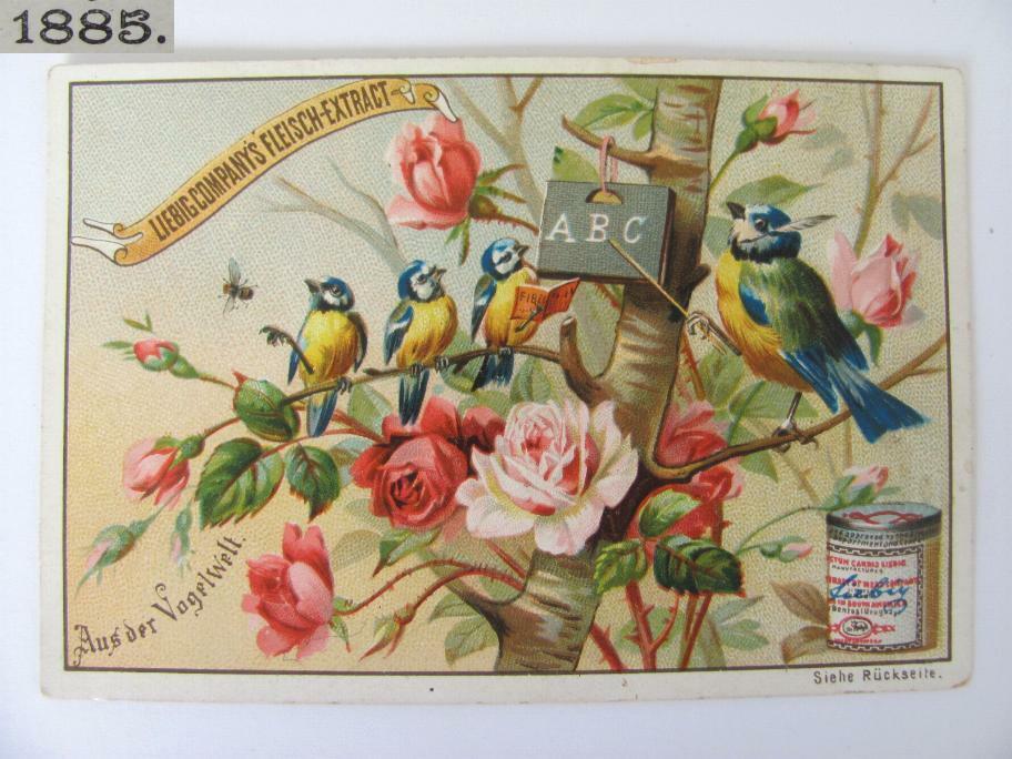 1885 ANTIQUE GERMAN LIEBIG COMPANY CHROMO LITHOGRAPH TRADE CARD VERY RARE 09