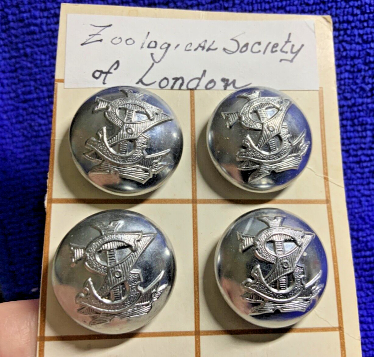 ZSL VINTAGE ZOOLOGICAL SOCIETY OF LONDON ZOOKEEPER UNIFORM BUTTON 23mm 20thC NOS