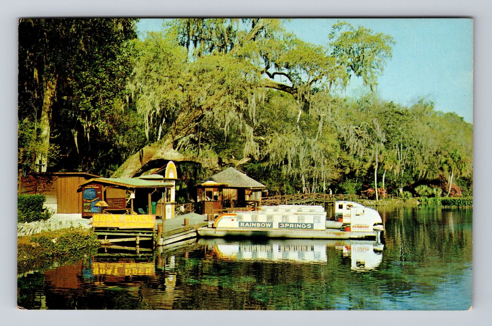Rainbow Springs FL-Florida, Boat Dock, Natural Spring, Vintage Postcard