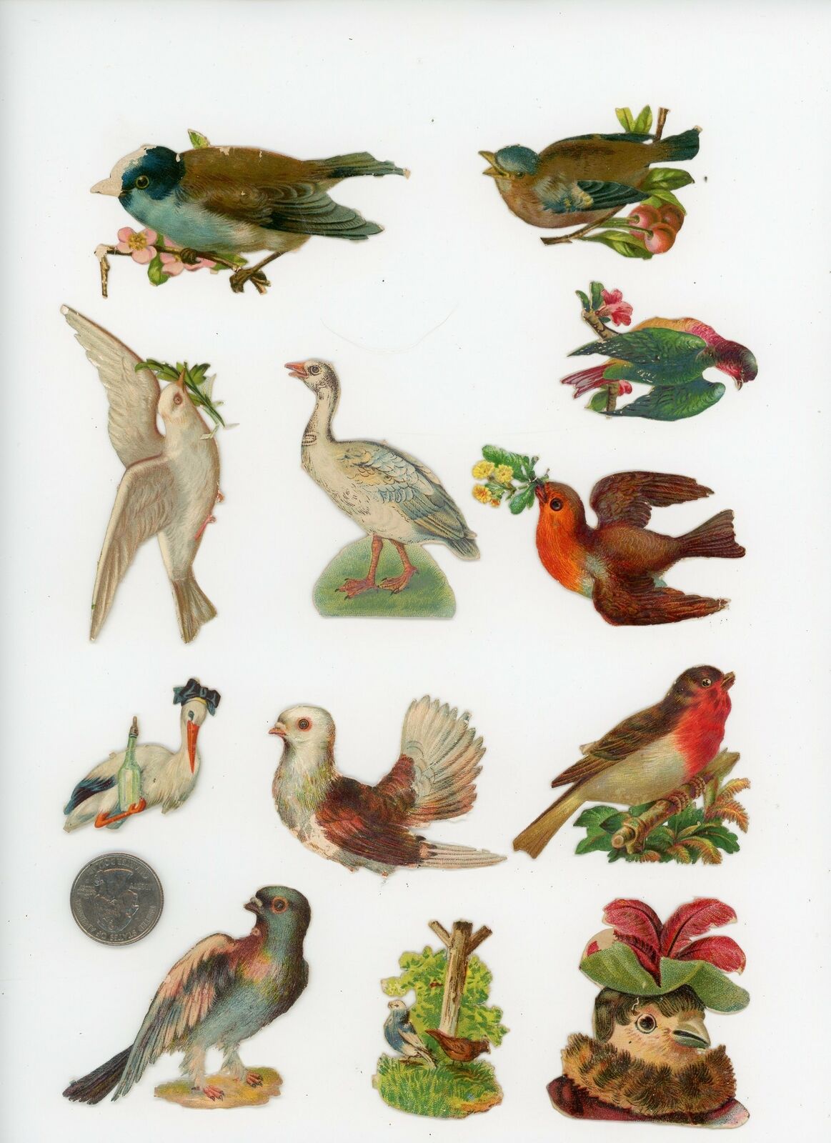 1880\'s Birds Lot of 12 Die Cut Victorian Scrap X350