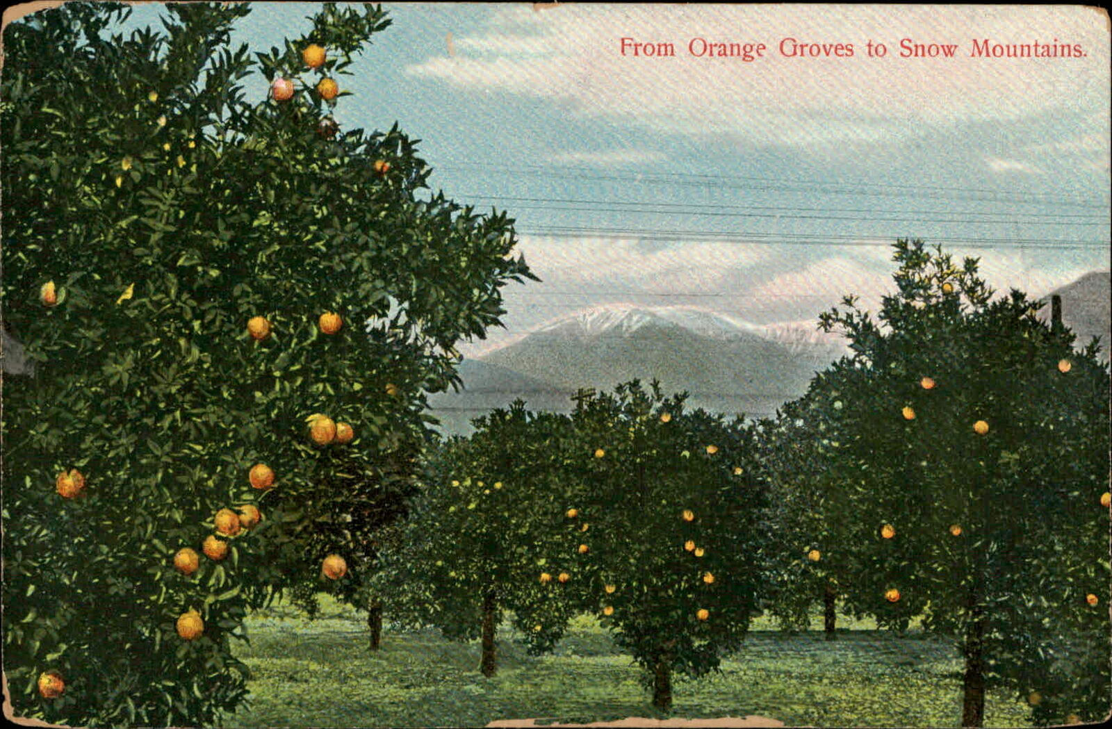 Postcard: From Orange Groves to Snow Mountains.